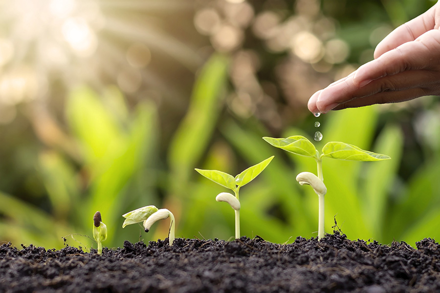 個人の特性を活かし伸ばせる会社